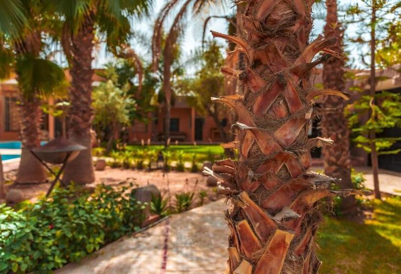 リヤド Kasbah Alili