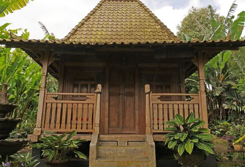 Bed and Breakfast Bali Mountain Retreat
