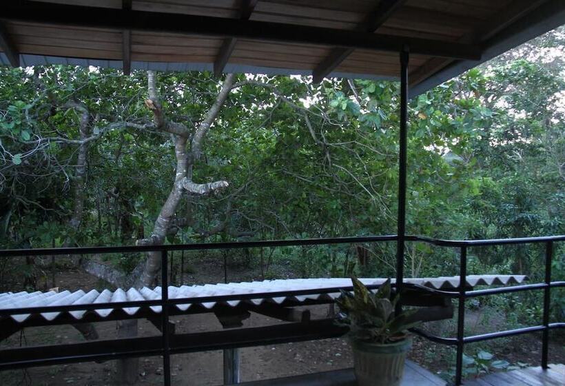 ベッドアンドブレックファースト L.l.tourist Inn & Safari Jeeps