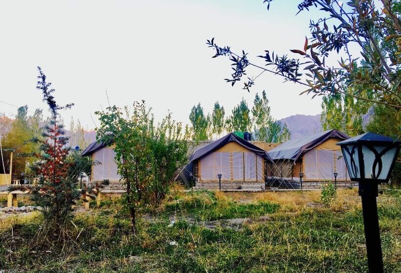 فندق D Camp