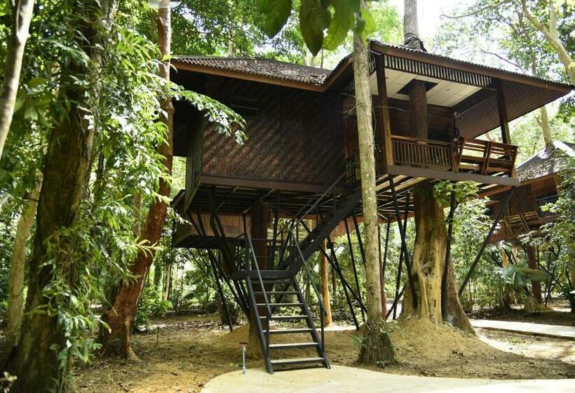 Отель Khao Sok Nature Resort