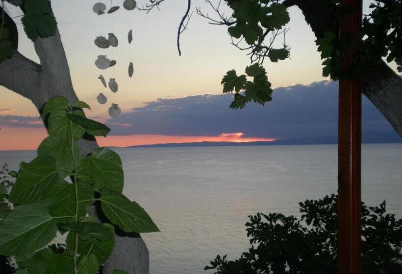 בית מלון כפרי Mola