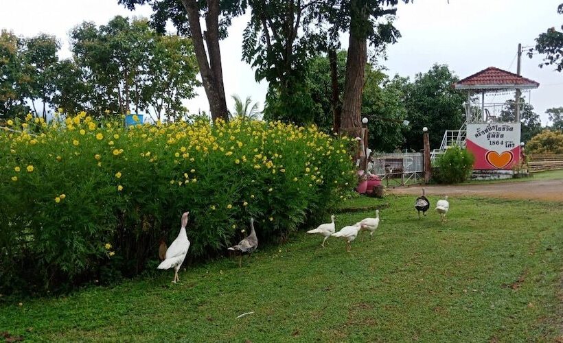 هتل Phuchandang Resort