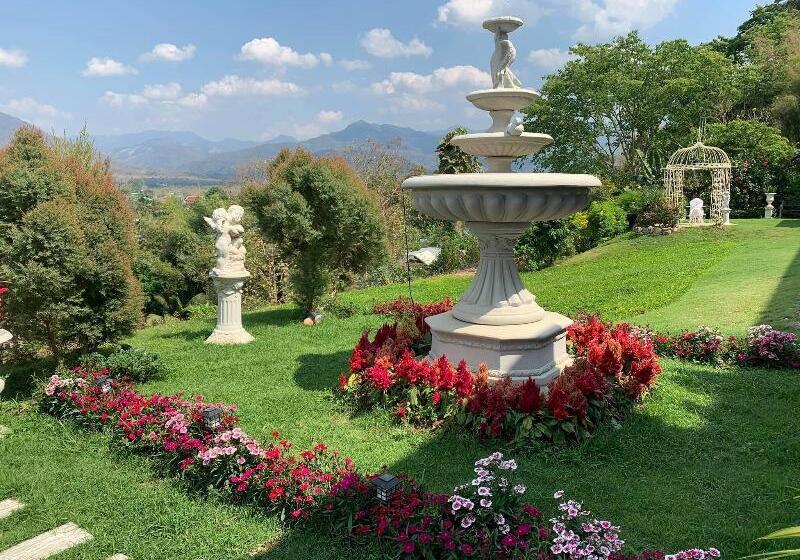 Отель Pua De View Boutique Resort