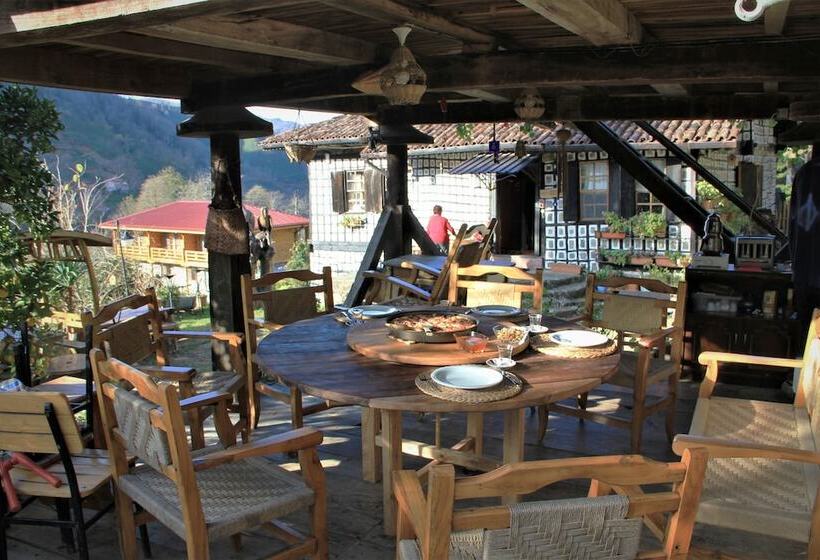 ペンション Satiroglu Konagi