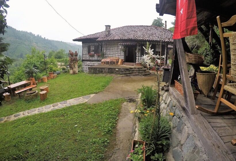 ペンション Satiroglu Konagi