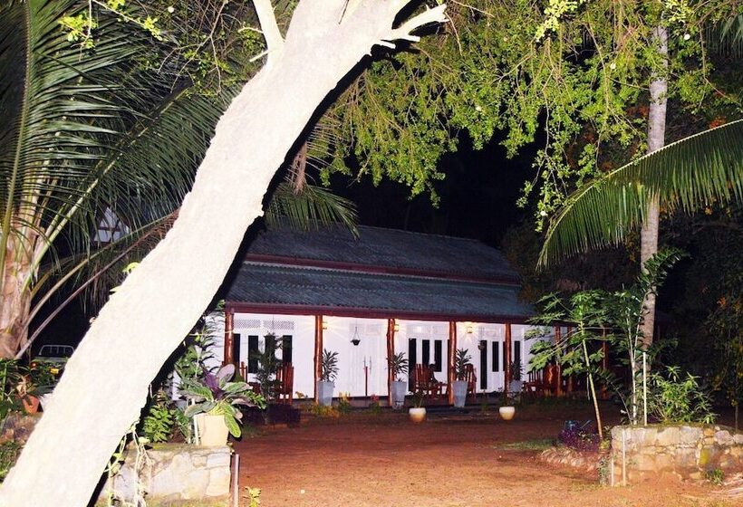 بنسيون The Tree