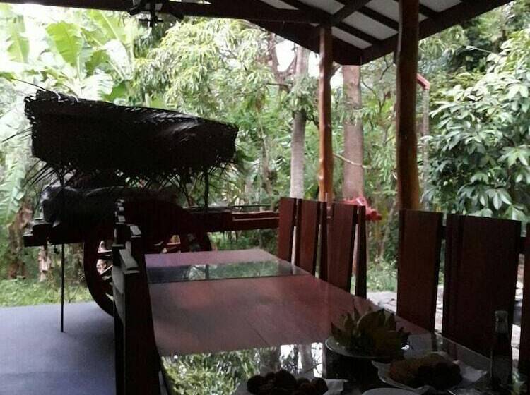 بنسيون The Tree