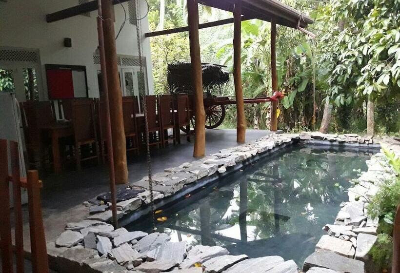 بنسيون The Tree