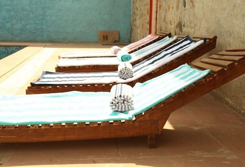 فندق Van Chhavi Resort
