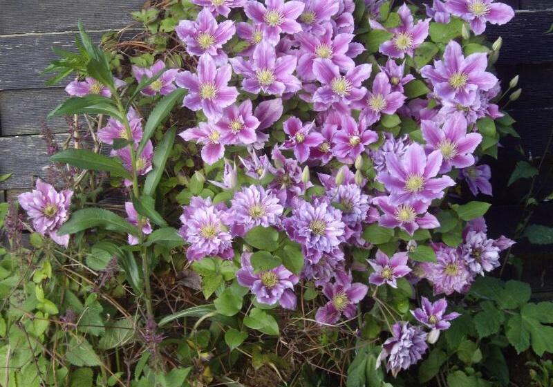 펜션 La Grange Des Marettes