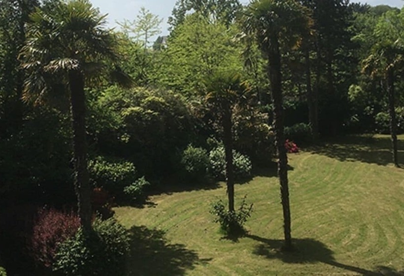 بنسيون La Maison Chicorée