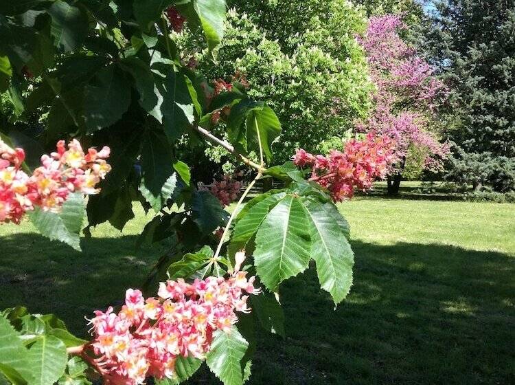 ペンション Mon Petit Soulié