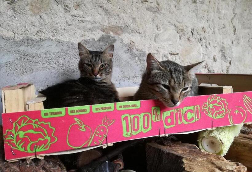 ペンション Mon Petit Soulié