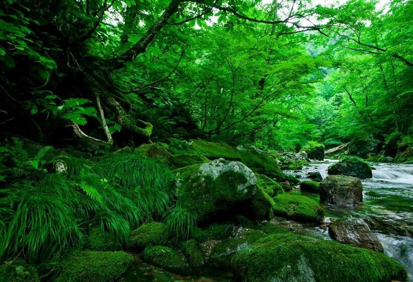 ريوكان Bunano Sato Shirakamikan