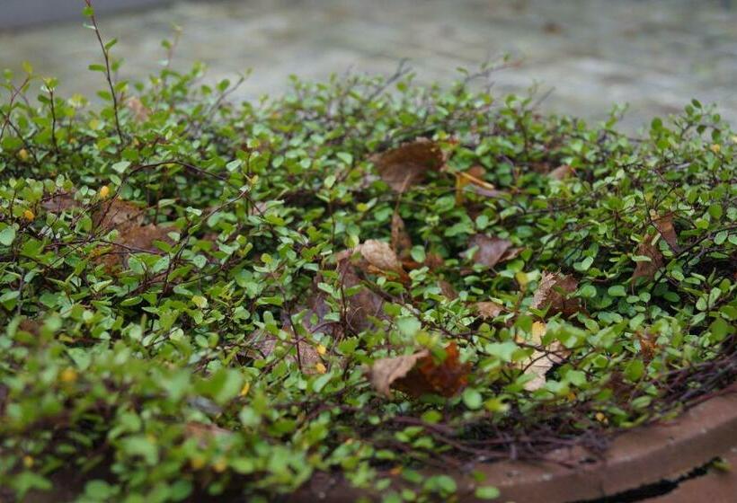 민박 Les Charmes Du Petit Pré