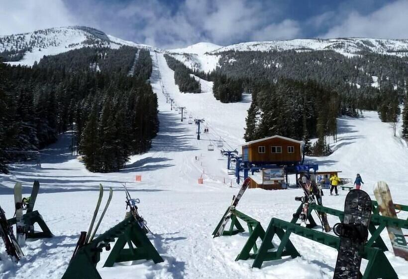 Castle Mountain Ski Lodge   Hostel