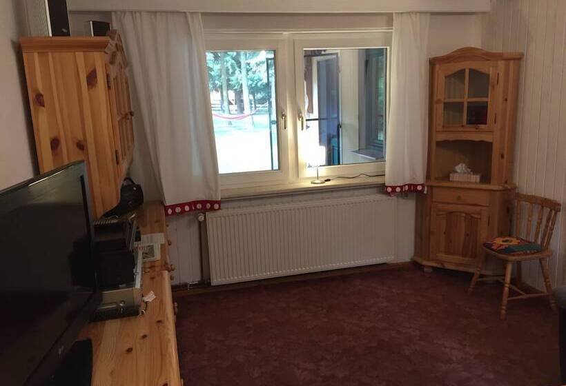 Ferienhaus Mirow Lärz   Kamin Wald Ruhe