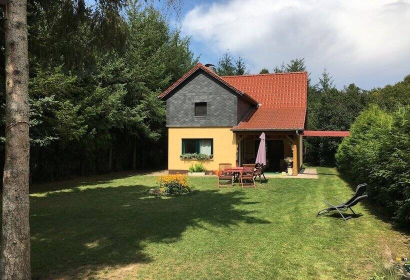 Ferienhaus Mirow Lärz   Kamin Wald Ruhe