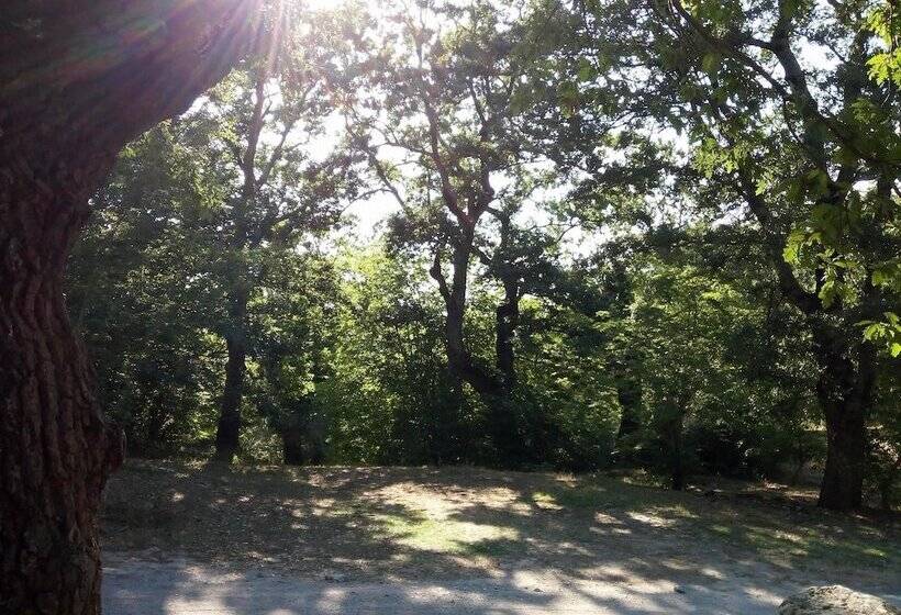 여관 Parco Dei Crisciuni Villaggio Camping