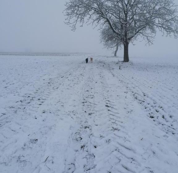 膳宿费 Chambres D Hôtes Chez Loulou Et Caramel
