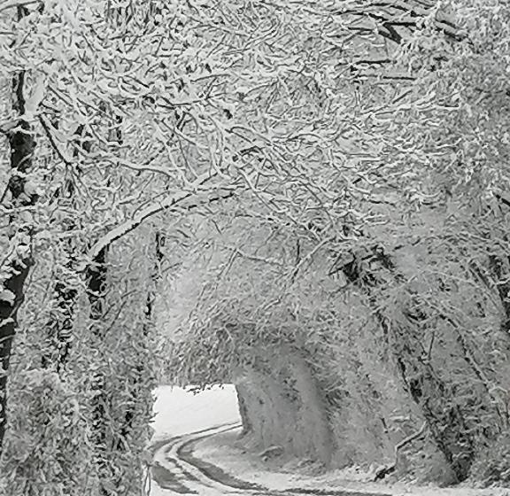 膳宿费 Chambres D Hôtes Chez Loulou Et Caramel