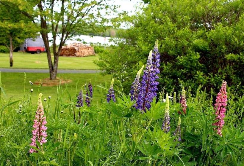 The Mission House Bed & Breakfast