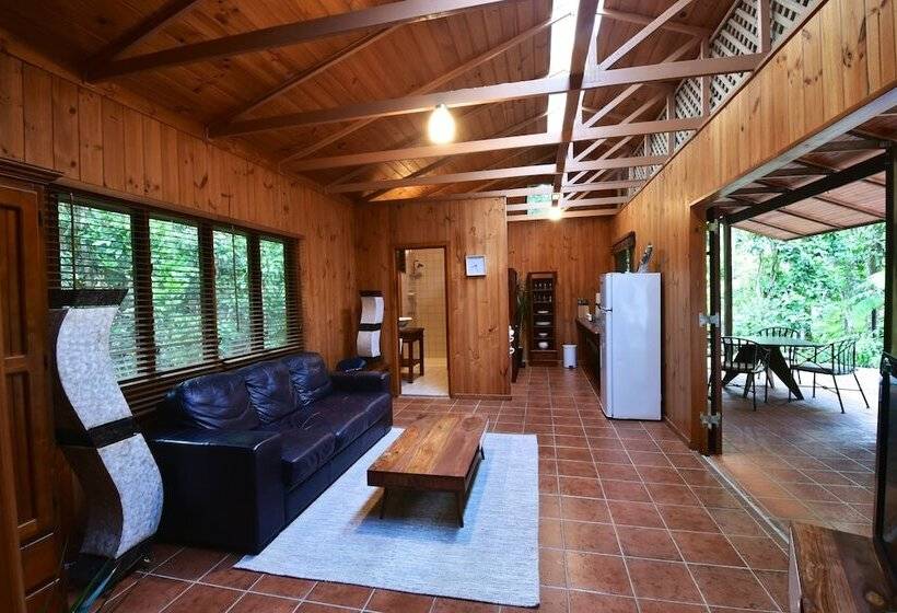 Daintree Cascades