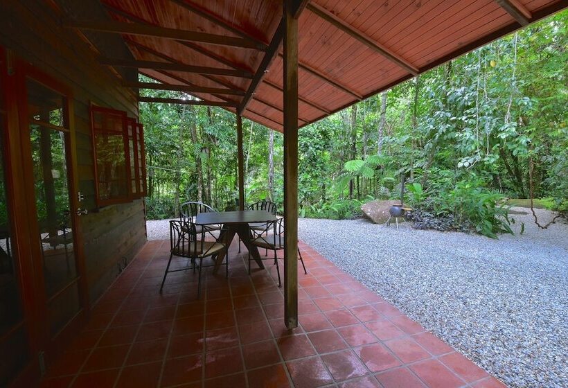 Daintree Cascades