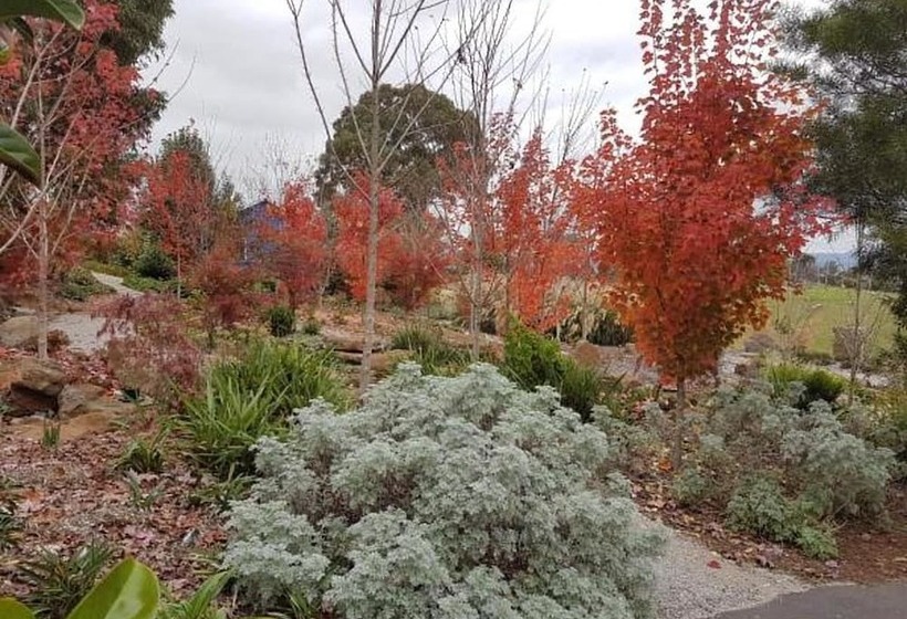 Outlook Hill Vineyard Cottages