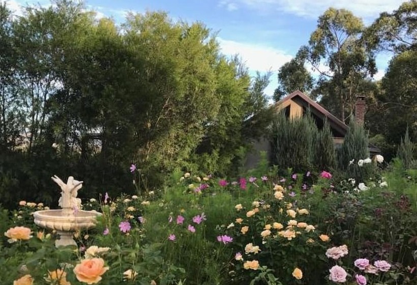 Outlook Hill Vineyard Cottages