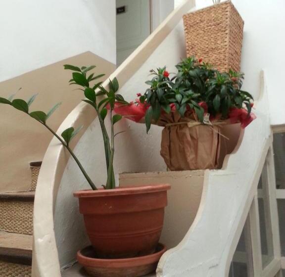 膳宿费 Le Patio Des Cigales