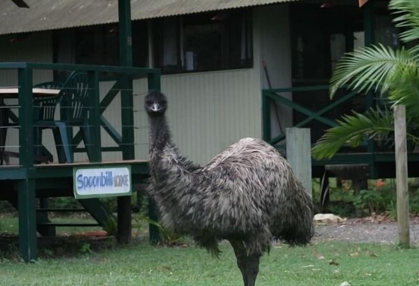 Wooli River Lodges