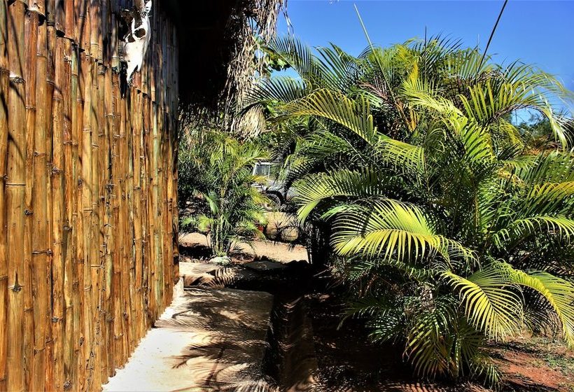 فندق صغير Barba Negra Lodge