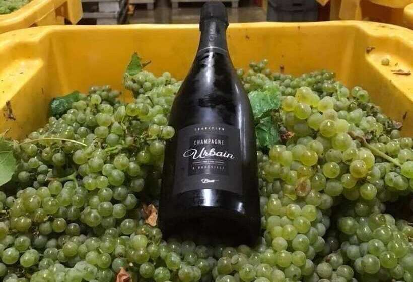 مبيت وإفطار Champagne Urbain