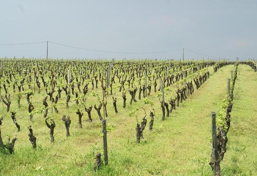 مبيت وإفطار Château De La Galissonnière