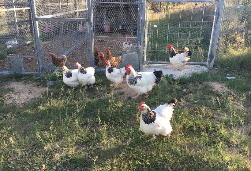 住宿加早餐  Donegal Farmstay