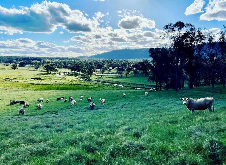 住宿加早餐  Donegal Farmstay