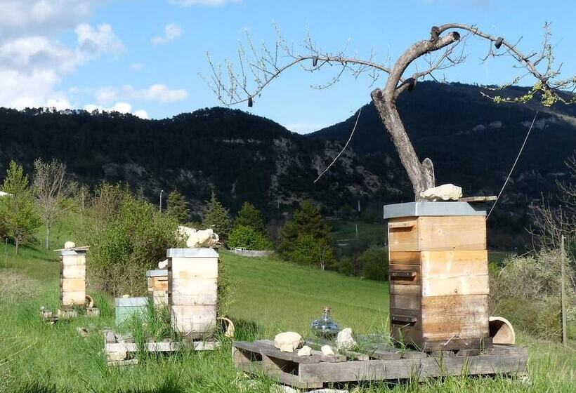 مبيت وإفطار La Villa Du Collet