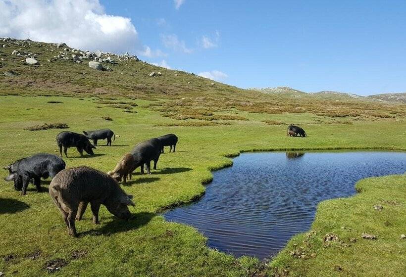 تختخواب و صبحانه San Larenzu