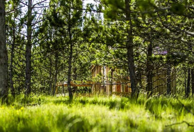 住宿加早餐  Terre Des Baronnies. Cabanes