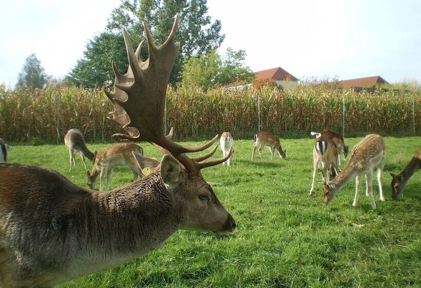 בית מלון כפרי Märkischheide Gmbh