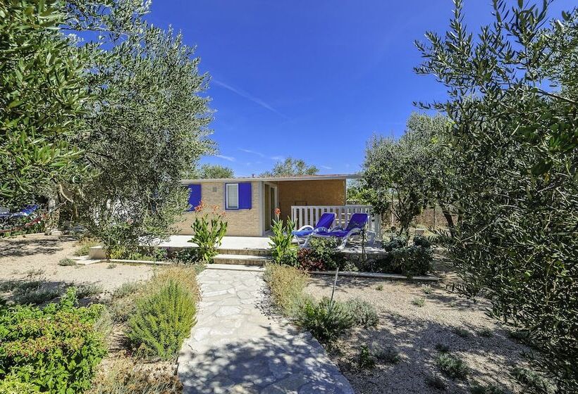 酒店 Olive Garden Camp Resort