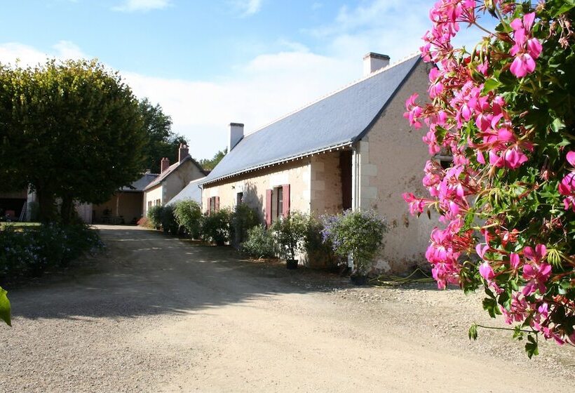 Пансион Domaine De La Bergerie