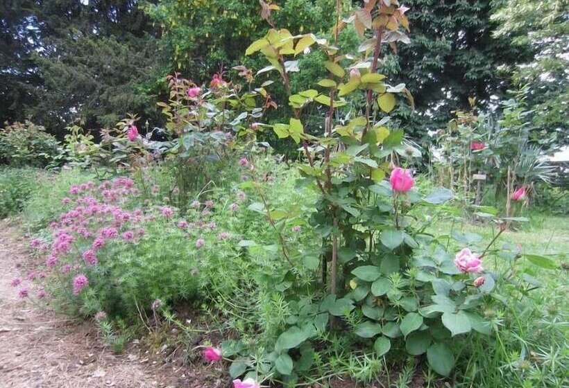 膳宿费 Domaine De Puytirel