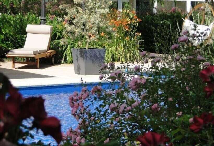 膳宿费 Ma Pousada