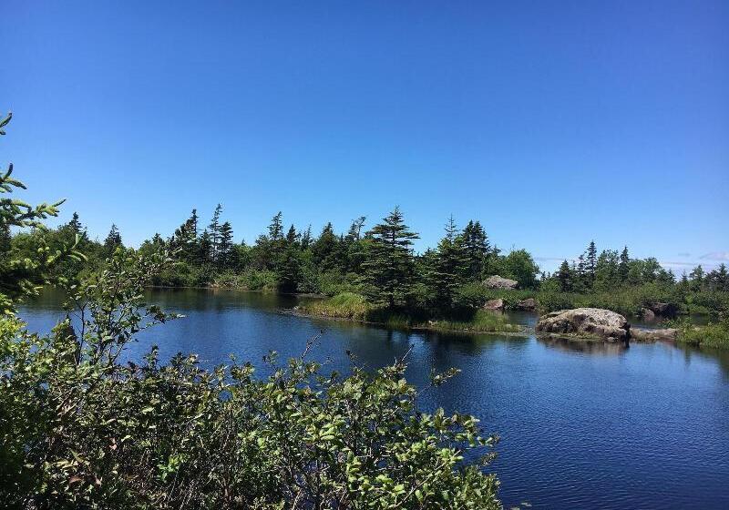 Whale Cove Inn