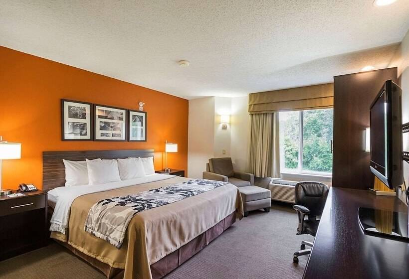酒店 Sleep Inn & Suites