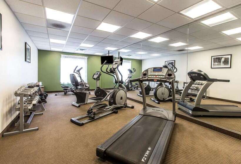 ホテル Sleep Inn & Suites Mount Olive North