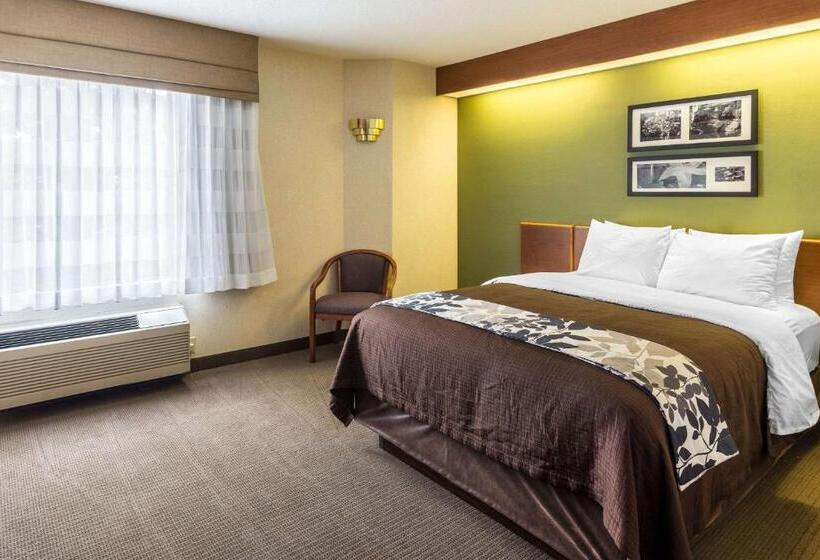 هتل Sleep Inn & Suites Bay View Acme   Traverse City